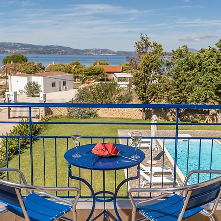 Eglina Celeste Miniá